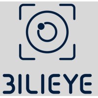 Bilieye logo - Similar company to Paramotion