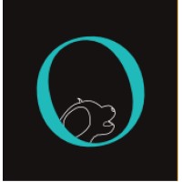 Buscón de Trufas logo - Similar company to Trufas Del Recolector