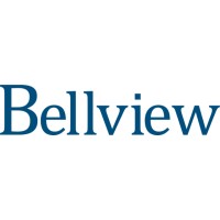 Bellview Capital Partners logo - Similar company to Rcf Technologies