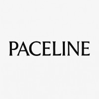 Paceline Developments Ltd logo - Similar company to Technical Moves