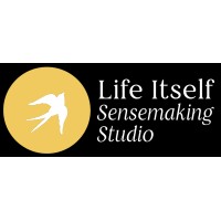 Life Itself Sensemaking Studio logo - Similar company to Vameris
