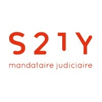 S21Y logo - Similar company to Carakters