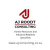 AJ Roodt Consulting logo - Similar company to Celynn Morin