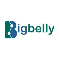 Bigbelly GmbH logo - Similar company to Wasteshark Leeds