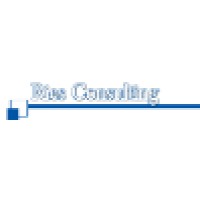 Ries Consulting Llc