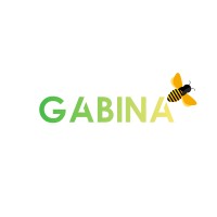 GABINA logo - Similar company to Aleem Akhtar Developers (Pvt) Ltd.