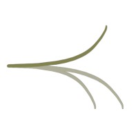 planelook-hangar cluster logo - Similar company to Marca Chave - Design E Comunicação