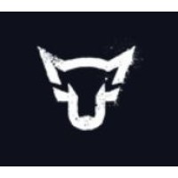 Wulf-FX logo - Similar company to Detail Creations