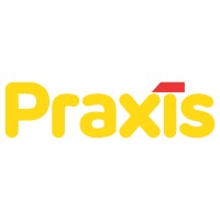 Praxis logo - Similar company to Brico