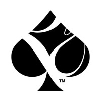 Pionarius logo - Similar company to Immerseev