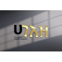 Ha Ge'ez Import Export logo - Similar company to ሰበዝ ሥልጠና እና ማማከር አገልግሎት Sebez Training And Consultancy Services