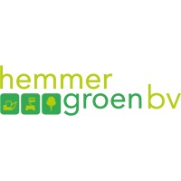 Hemmer Groen BV logo - Similar company to Virtual Living