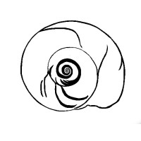 WhiteShell Real Estate LLC logo - Similar company to Repeat Stays