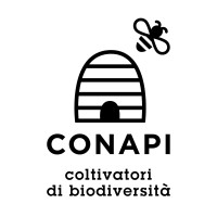 Conapi logo - Similar company to Assobio