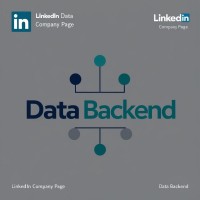 Data-Backed Decisions logo - Similar company to Turning Data Into Action