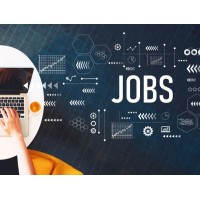 The Job Hub_Ludhiana logo - Similar company to Varuni Associate