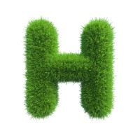 H. Hafner and Sons, Inc. logo - Similar company to Health Select Services