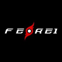 FEREI Lighting logo - Similar company to Future Tech  Limited