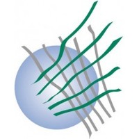DNFI - Discover Natural Fibres Initiative logo - Similar company to Valorizen