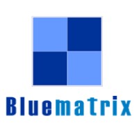 Bluematrix Consultancy Private Limited logo - Similar company to Dator Tech
