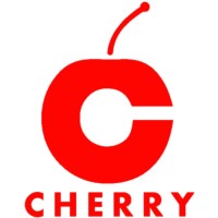 Cherry InfoTech logo - Similar company to Vibes Web Design Company In Qatar