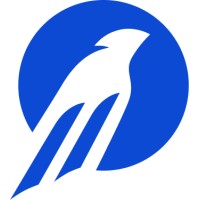 Amconsoft logo - Similar company to E.33