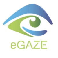 eGAZE logo - Similar company to Optionb