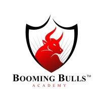 Booming Bulls Academy™ logo - Similar company to Havenark