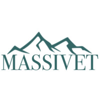 MASSIVET logo - Similar company to Adma Förvaltnings Ab