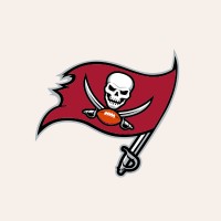 Tampa Bay Buccaneers logo - Similar company to City Of St. Petersburg