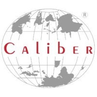 Caliber Tech Solutions Private Limited logo - Similar company to Linq Engineering