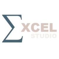 Excel Studio logo - Similar company to Data Analyst Group