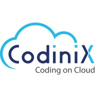 Codinix Technologies Inc. logo - Similar company to Soft-Tech