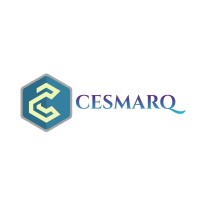 Cesmarq logo - Similar company to Luaa Design Studio