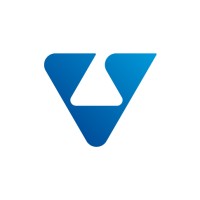 Veri Enstitusu logo - Similar company to Brandwolf