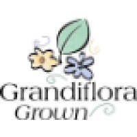 Grandiflora
