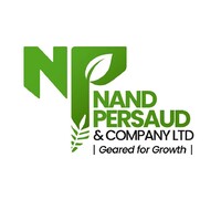 Nand Persaud Group logo - Similar company to Npi Communications Inc.