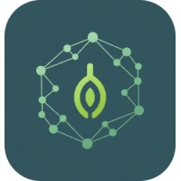Dataseed Africa logo - Similar company to Nextgen4All