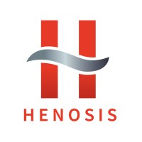 Henosis logo - Similar company to Red Line System Srl