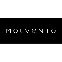Molvento logo - Similar company to Ftm Construcciones