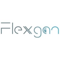 Flexgan Project logo - Similar company to Chipdesign B.V.