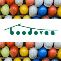boodovaa logo - Similar company to Evolution On Demand Services