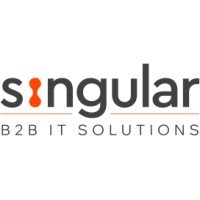 Singular Computer Systems Ltd logo - Similar company to Techllective