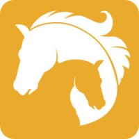 The Balanced Horse