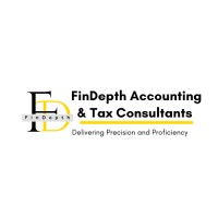 FinDepth Accounting & Tax Consultants logo - Similar company to Digital 4 Africa