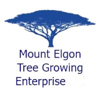 Mount Elgon Tree Growing Enterprise (METGE) logo - Similar company to Lukango Tree Conservancy (Lutreeco)