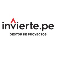 Profesional Independiente Gestor De Proyectos