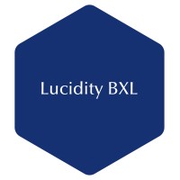 Lucidity BXL logo - Similar company to Deedy Technologies