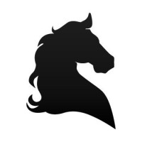Showjumpers Ireland logo - Similar company to Harry Dabbs