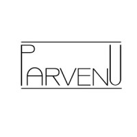 Parvenu Group logo - Similar company to Pro-Play Games